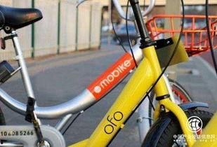 ofo最新爆料,揭秘共享单车巨头背后的真相与困境”  第2张